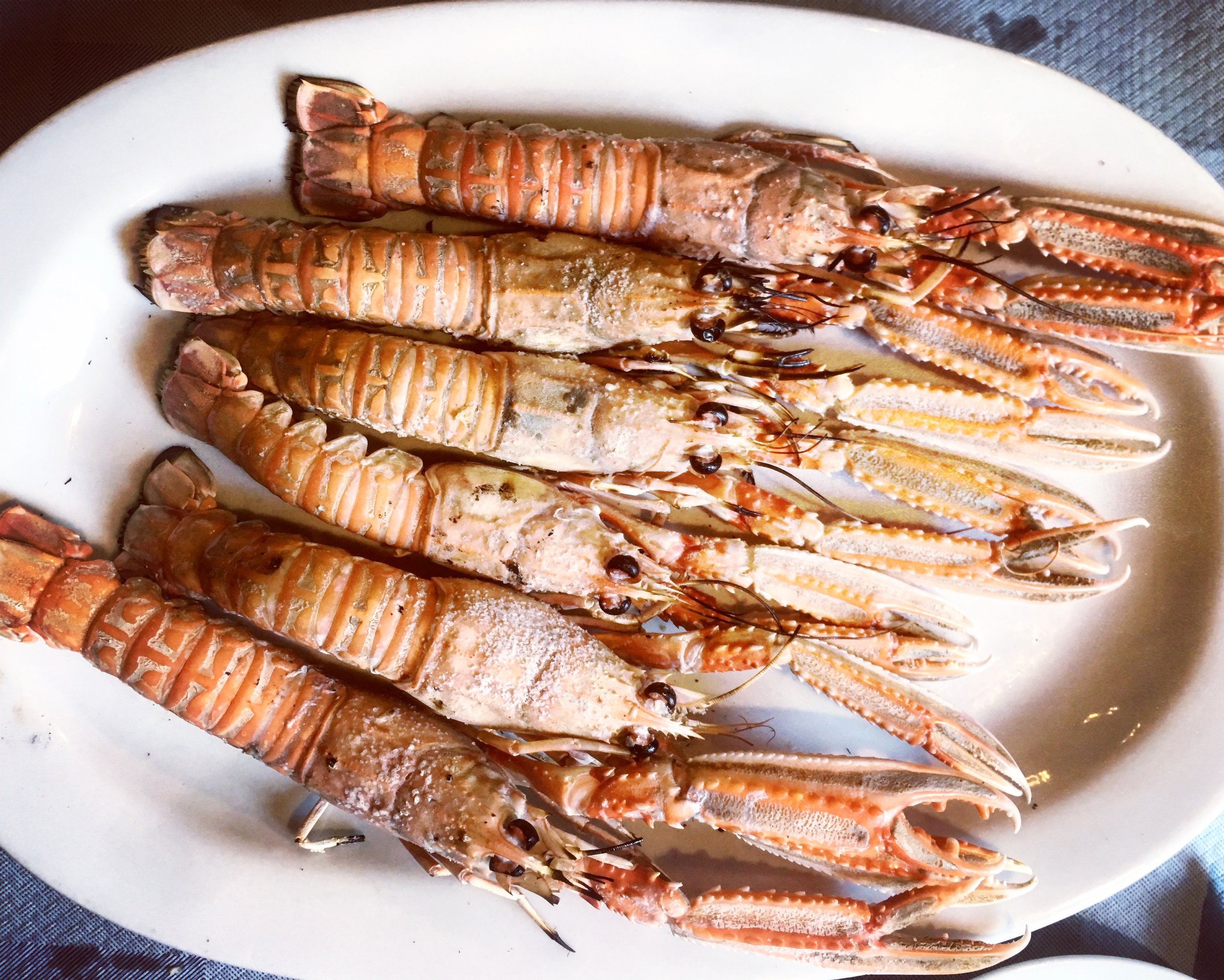 Athens: honest seafood at traditional tavern Paramalo