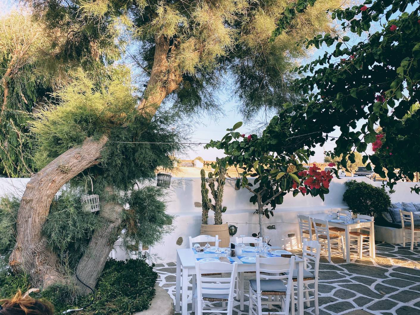 Travel Food People - Siparos, Paros