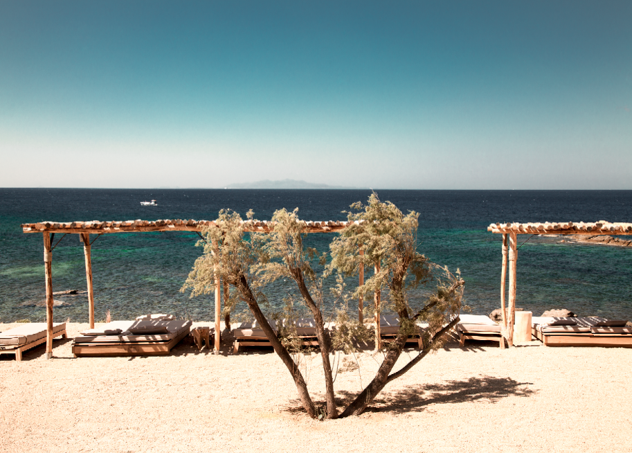 Travel Food People - Scorpios, Mykonos