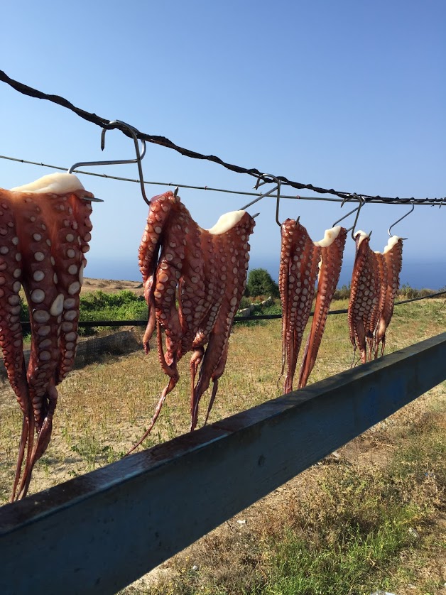 Travel Food People - Sinadisi, Folegandros
