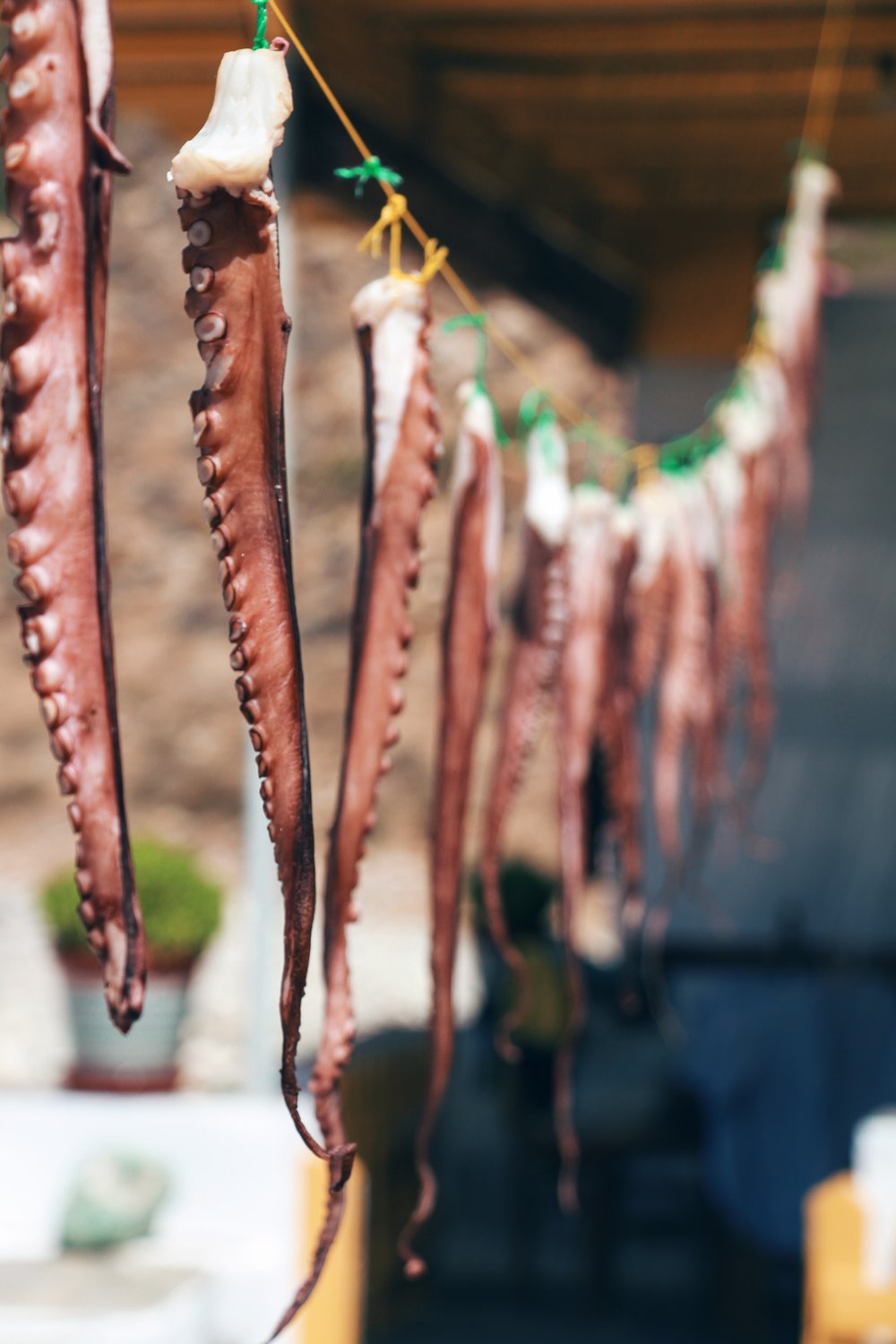 Travel Food People - Vroulidia, Sifnos