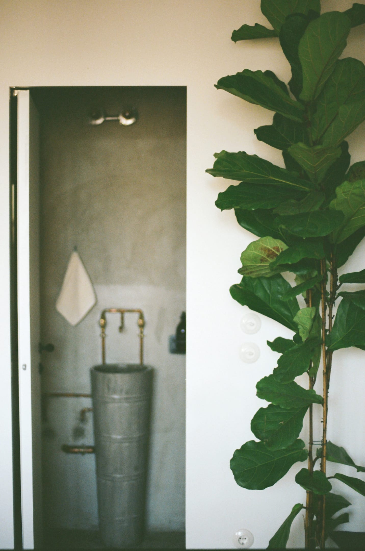Mona Hotel, Athens - Floret