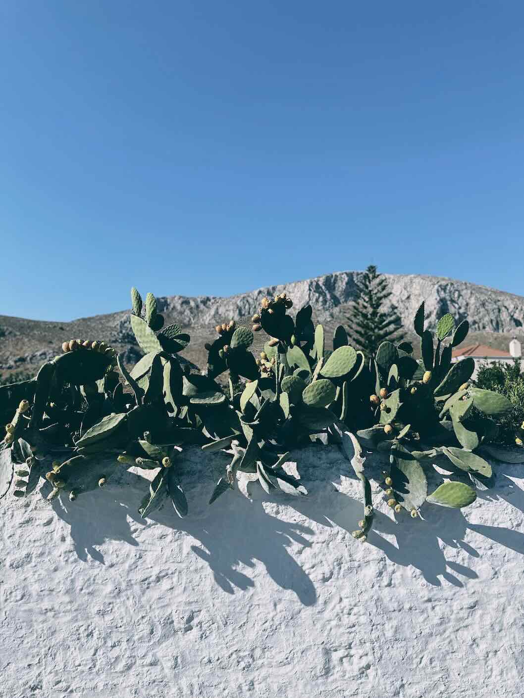 Travel Food People - Kalymnos, Greece